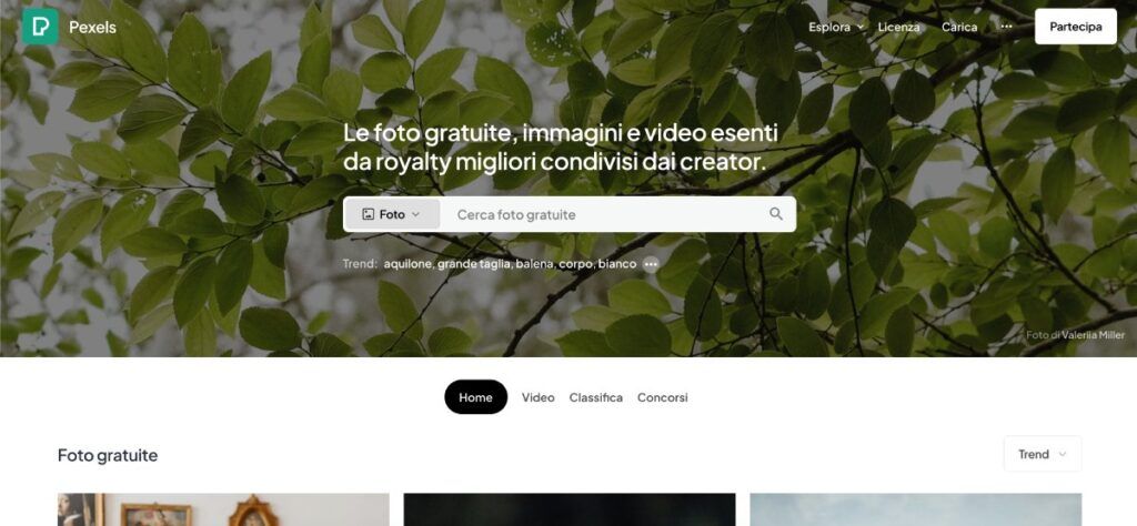 Pexels è un sito di immagini gratis