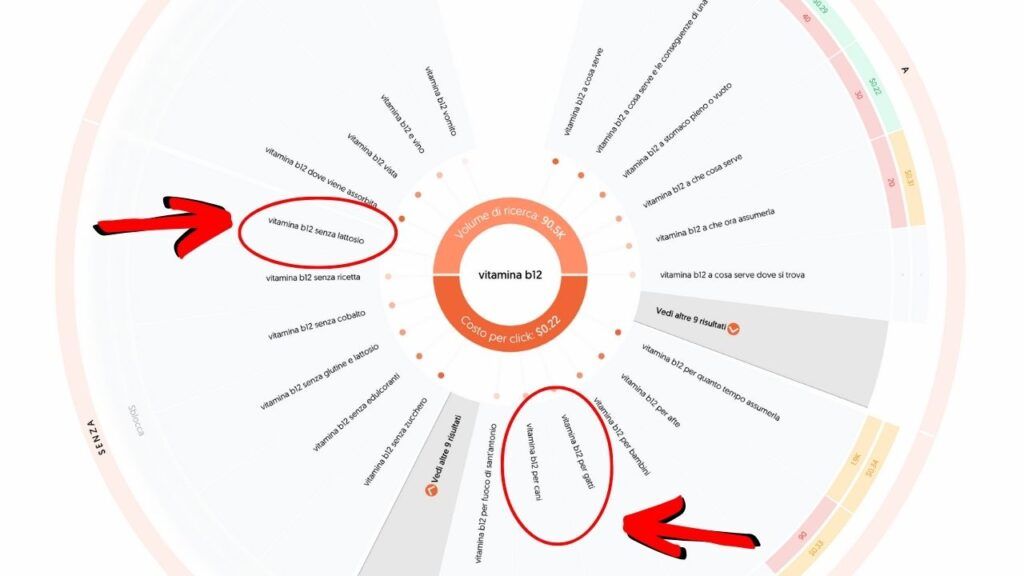 Grafico di ricerca su AnswerThePublic per il termine vitamina b12